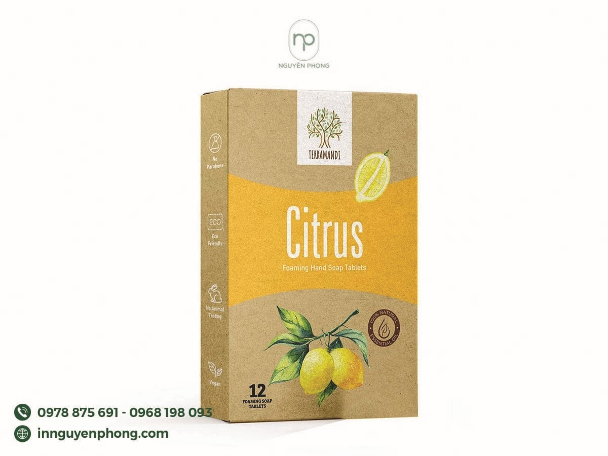 Hộp giấy kraft cao cấp